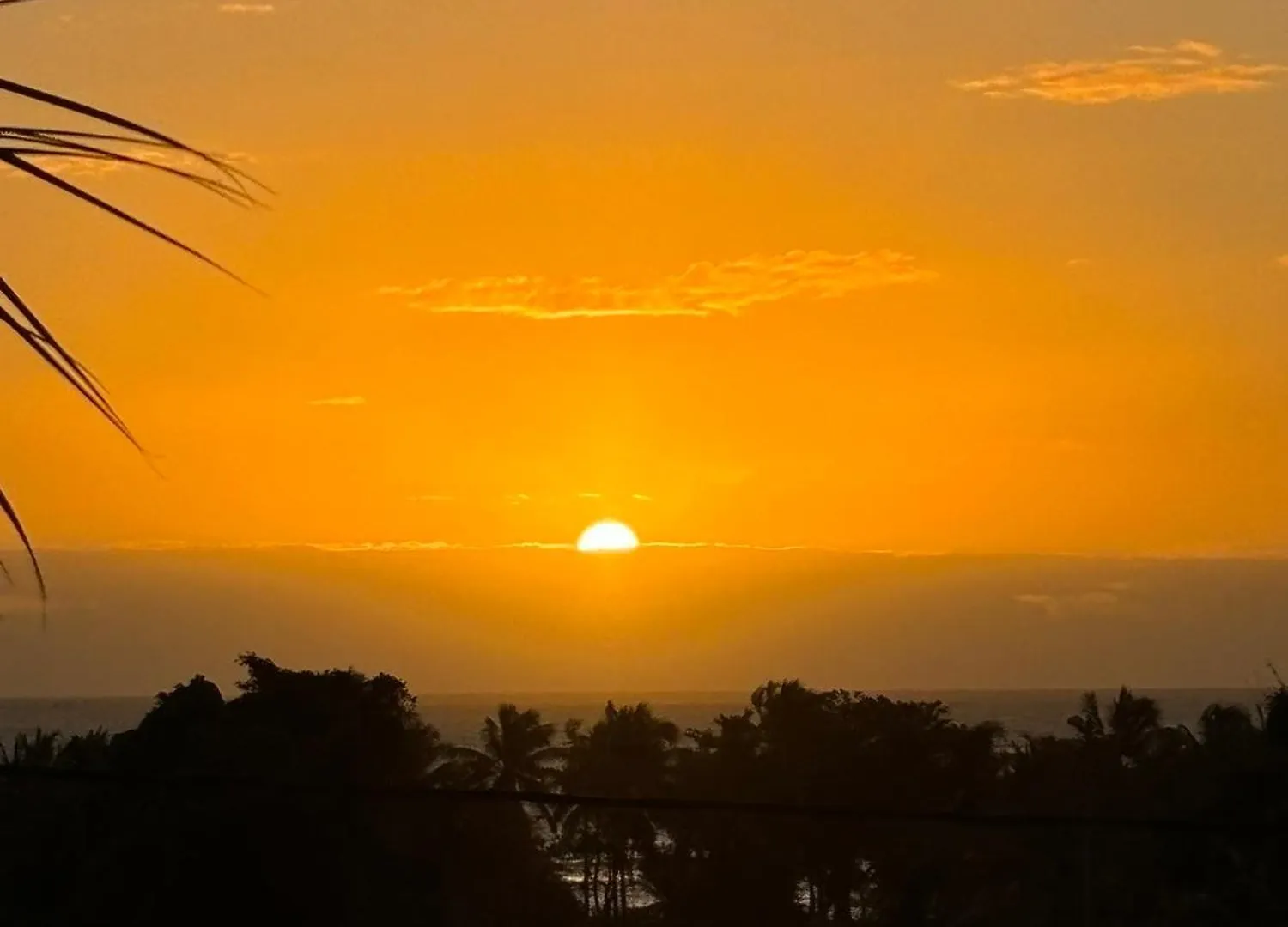 Le Nid Tropical - Vue Mer Au Coeur De La Guadeloupe Petit-Bourg Guadalupe