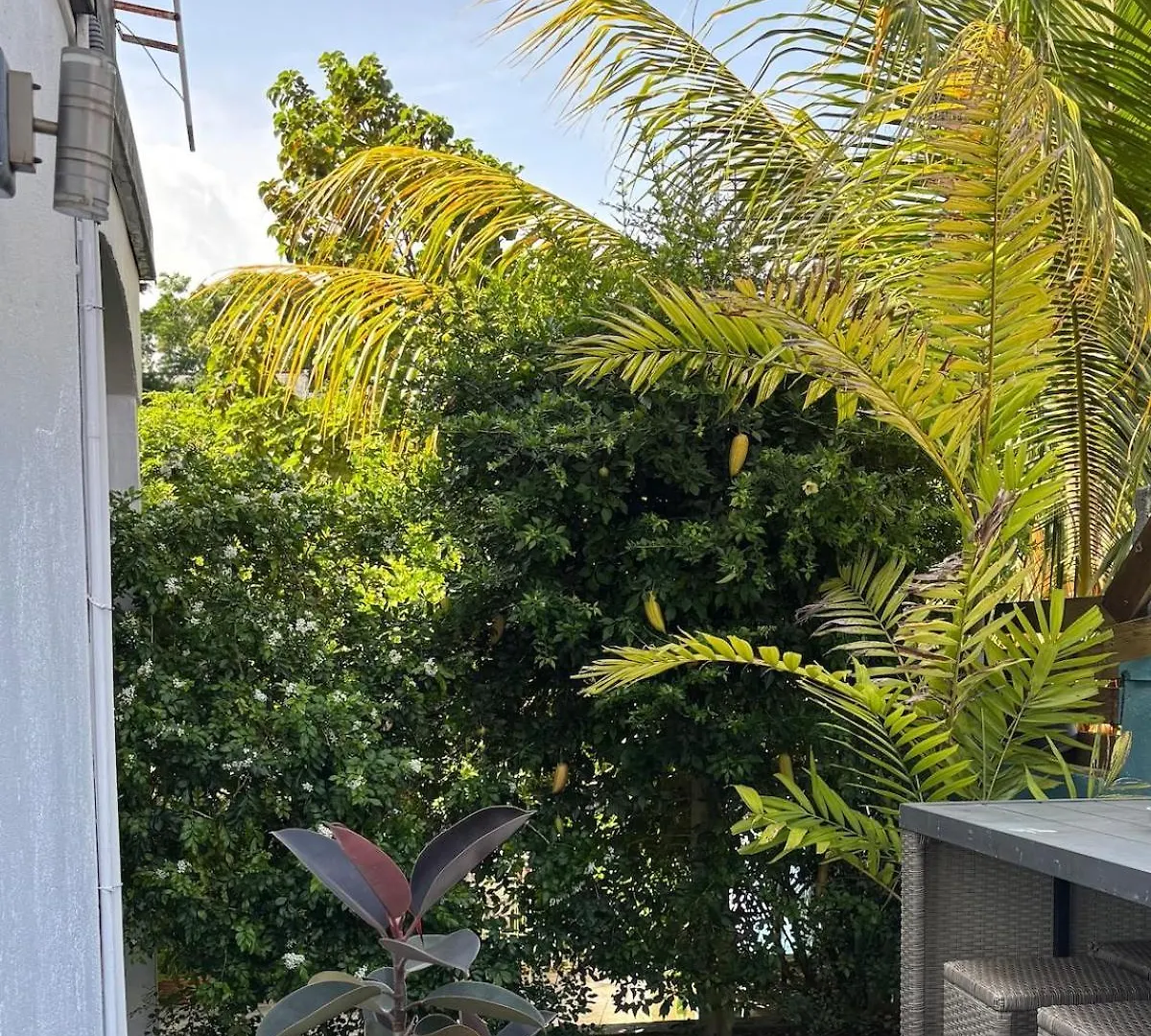 Le Nid Tropical - Vue Mer Au Coeur De La Guadeloupe Petit-Bourg 0*,